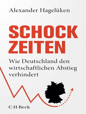 cover image of Schock-Zeiten